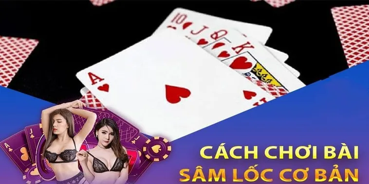 Bí Kíp Chinh Phục Sâm Lốc W88: Hành Trang Lên Đỉnh Thắng Lợi 2 Bí Kíp Chinh Phục Sâm Lốc W88: Hành Trang Lên Đỉnh Thắng Lợi